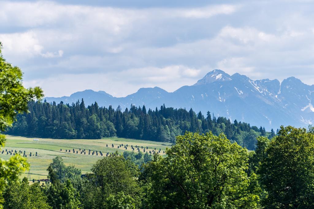 Chata Na Brzysku Pod Bialka Leśnica Exterior foto